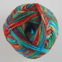 WYS - Colourlab Sock DK - 1202 Pop